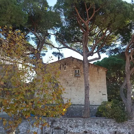 Suquet Cannes